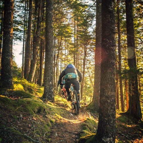 Man on mountain bike riding in a forest